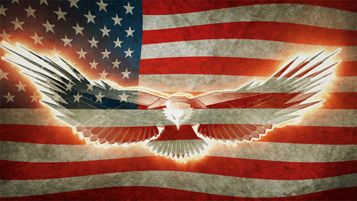 Eagle and Flag